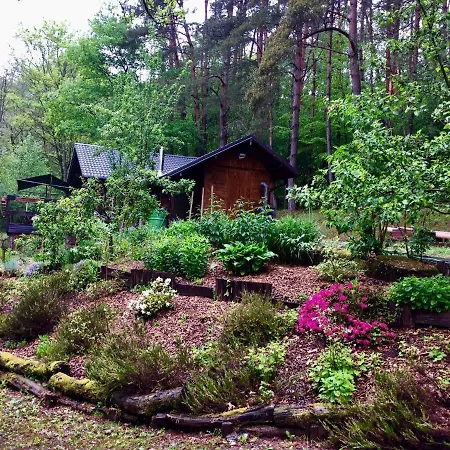 Cosy With Private Sauna In *