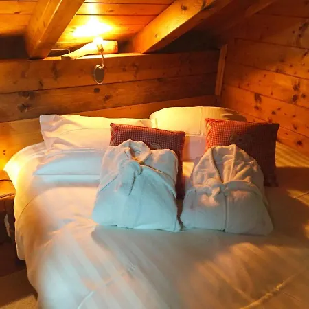 Chalet Cosy With Private Sauna In Bousseviller