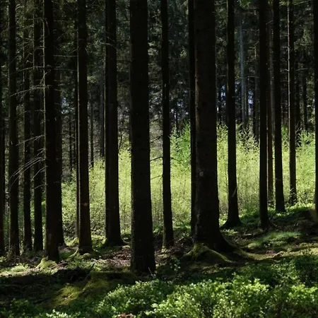 Near Bitche With Private Sauna Chalet