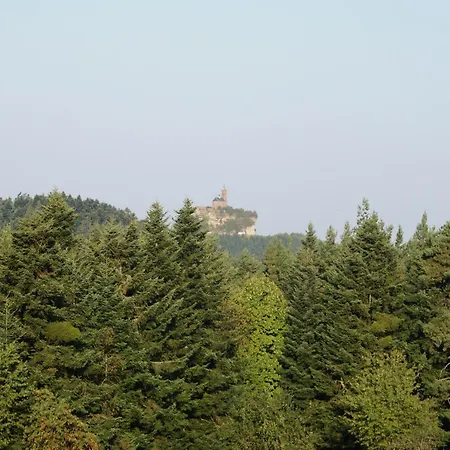 Near Bitche With Private Sauna
