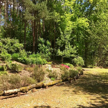 Near Bitche With Private Sauna