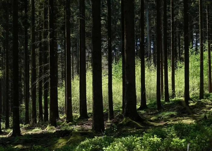 Near Bitche With Private Sauna Chalet