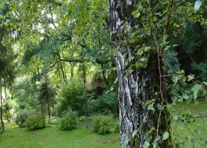 Near Bitche With Private Sauna Шале *