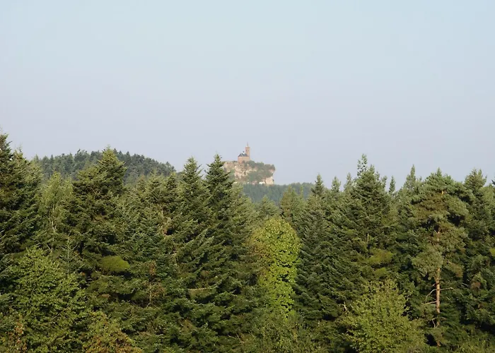 Near Bitche With Private Sauna