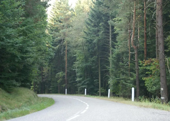 Near Bitche With Private Sauna *