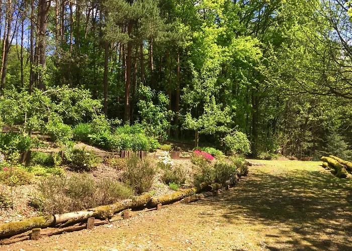 Near Bitche With Private Sauna