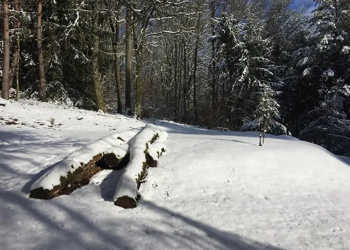 Near Bitche With Private Sauna *